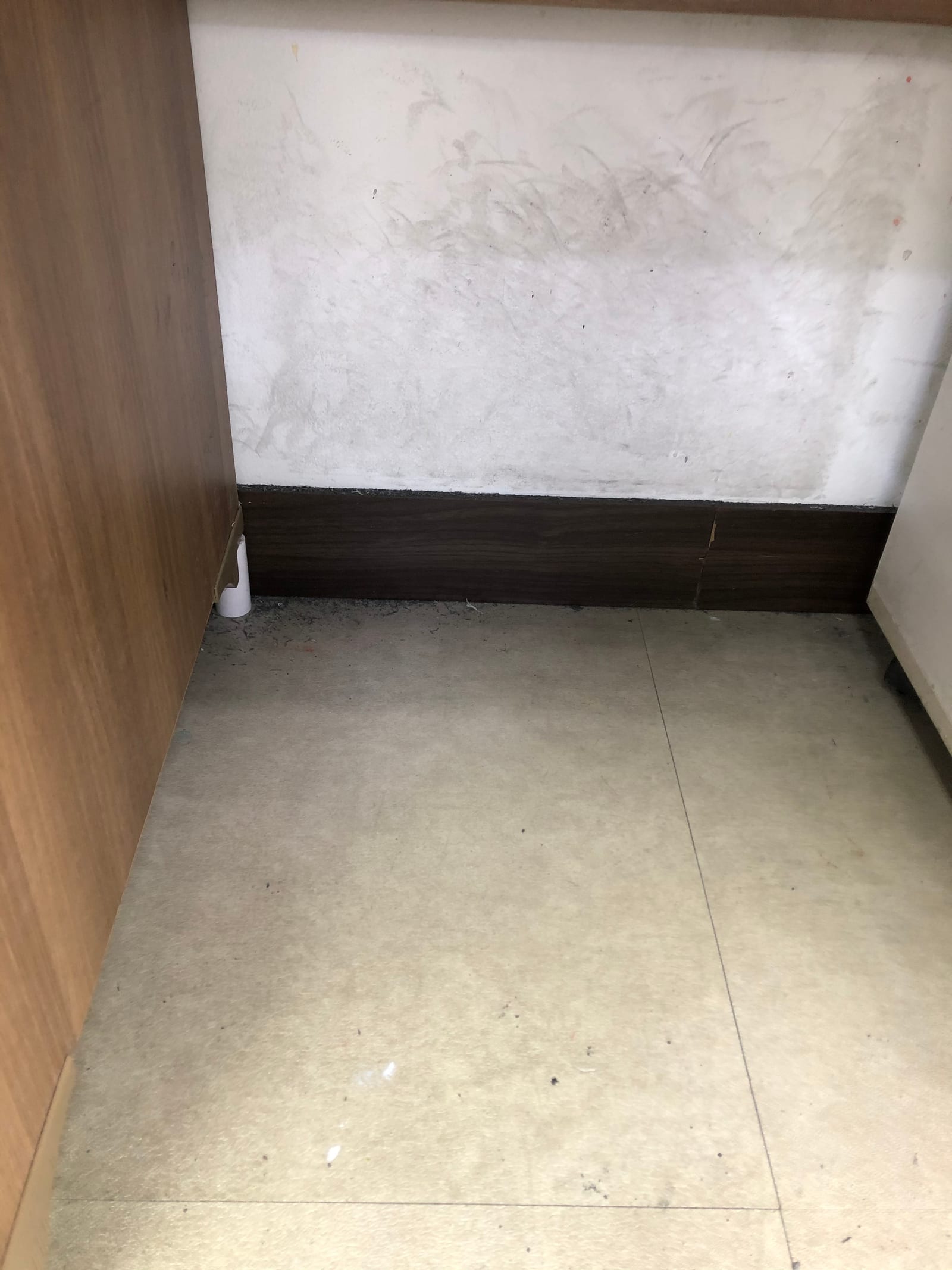 의정부 민락동 카펫청소 시공 사진